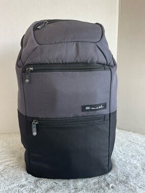 Travis Mathew Koolie cooler backpack